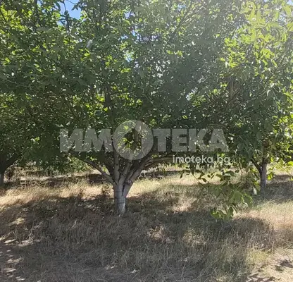 Photo 2 — Agricultural Land in Oblast Plovdiv, Calapica