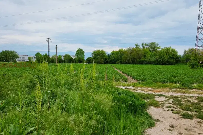 Agricultural Land in Oblast Plovdiv, Caracovo