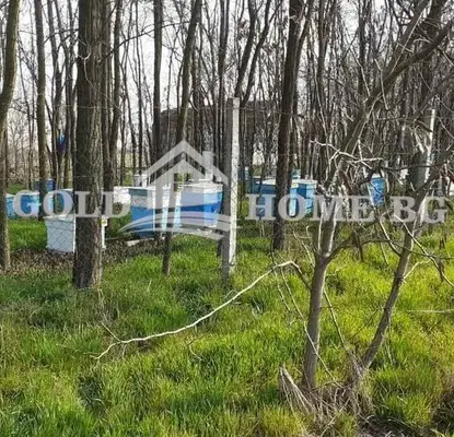 Photo 2 — Abandoned Perennial Crops in Plovdiv, Caracovo