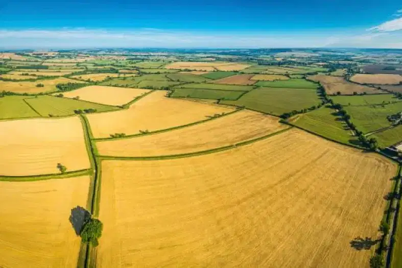 Agricultural Land in Oblast Plovdiv, Gorna Mahala