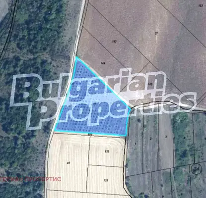 Photo 4 — Orchard in Shumen, Kyulevcha