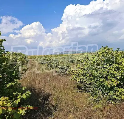 Photo 5 — Orchard in Shumen, Kyulevcha
