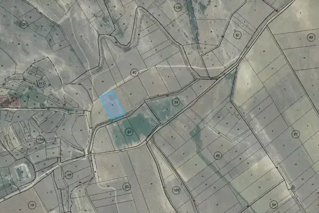 Agricultural Land in Oblast Blagoevgrad, Leshnica