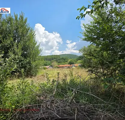 Снимка 5 — Земеделски имот в Кюстендил, с. Мало село