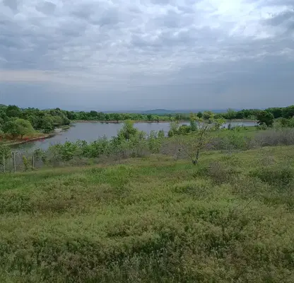 Photo 3 — Orchard in Haskovo, Mineralni Bani