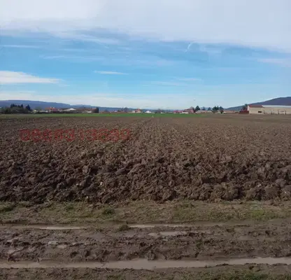 Photo 5 — Agricultural Land in Oblast Burgas, Ruen