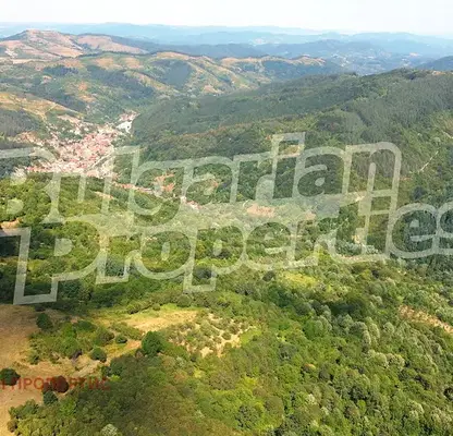 Photo 2 — Orchard in Lovech, Shipkovo