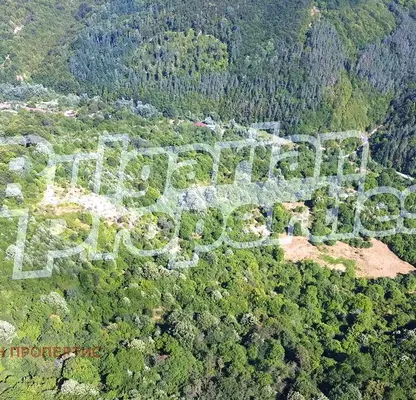 Photo 3 — Orchard in Lovech, Shipkovo