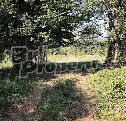 Photo 4 — Orchard in Lovech, Shipkovo