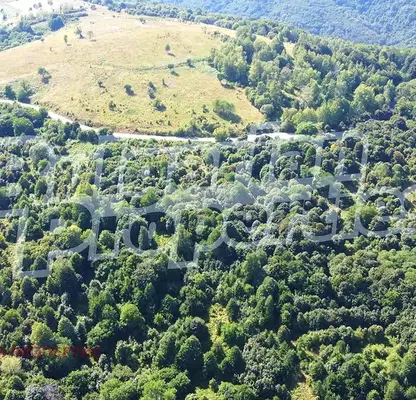 Photo 5 — Orchard in Lovech, Shipkovo
