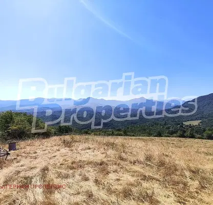 Photo 3 — Meadow in Gabrovo, Tabashka