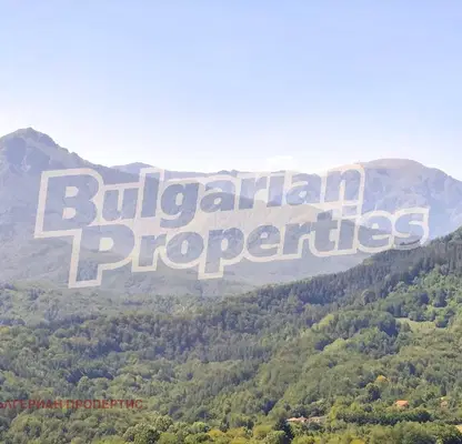 Photo 4 — Meadow in Gabrovo, Tabashka