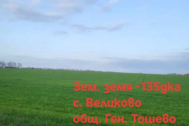 Agricultural Land in Oblast Dobrich, Velikovo