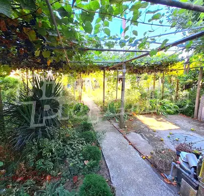 Photo 5 — Floor of House in Veliko Tyrnovo, Debelec