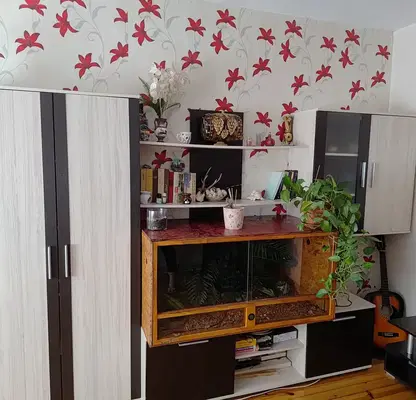 Снимка 3 — Етаж от къща в с. Панчарево