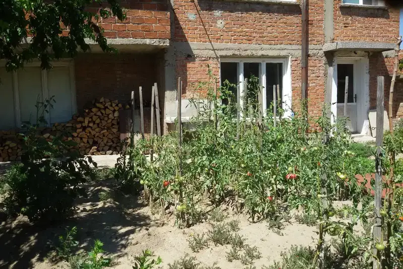 Floor of House in Yambol, Kargon