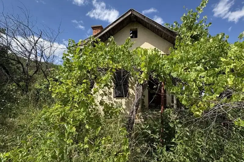House in Oblast Montana, Berkovica