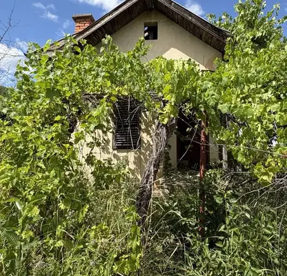 Снимка 5 — Къща в Монтана, Берковица