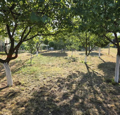 Снимка 5 — Къща в Плевен, Червен бряг