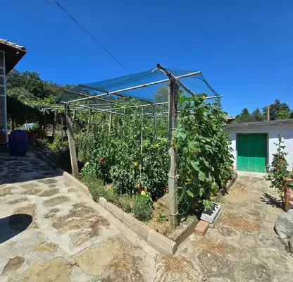 Photo 2 — Detached house with yard and outbuildings in Omurtag