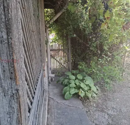Снимка 2 — Къща с 6 стаи и голям двор в с. Айдемир, област Силистра