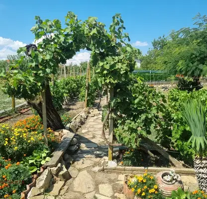 Photo 4 — One-storey house with garage in Arnautito village, Stara Zagora region