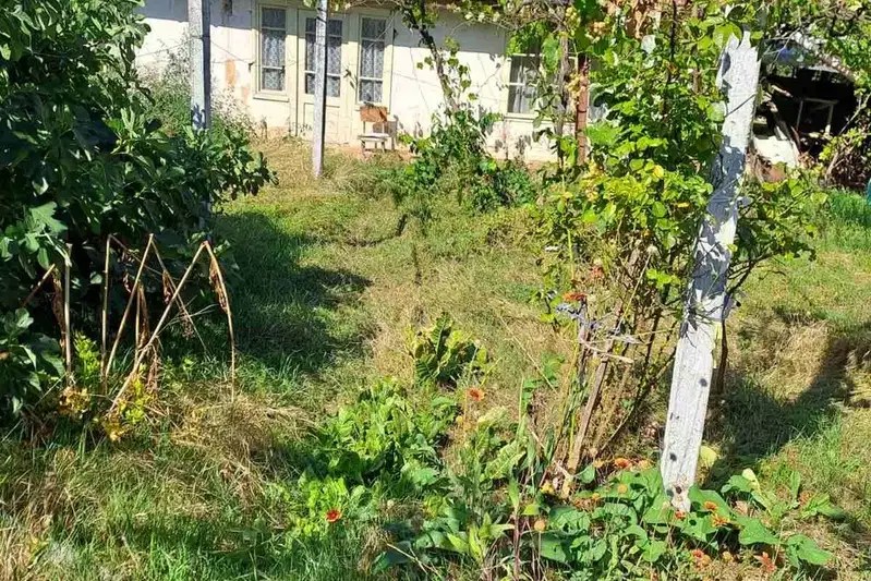 House with 2 rooms in Bagrenci village, Kyustendil region, with yard