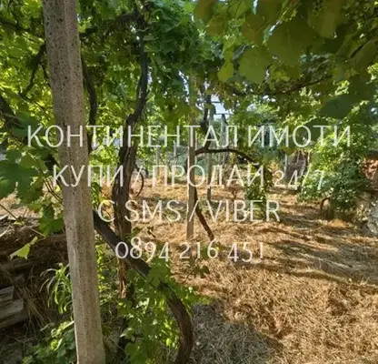 Photo 2 — House 80 sq m with large yard in Choba village, Plovdiv region
