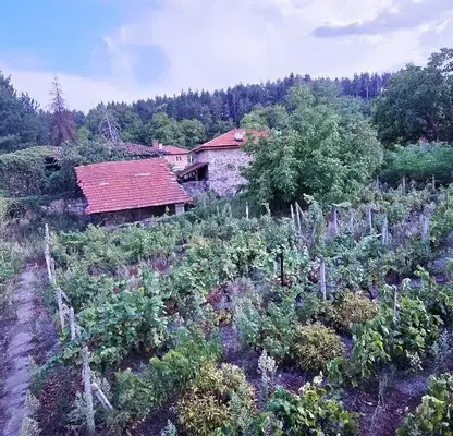 Photo 4 — Two-storey house with 4 rooms in Dolnoslav village, Plovdiv region