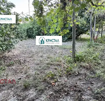 Снимка 5 — Къща с 3 спални в с. Дълго поле, област Пловдив, с голям двор