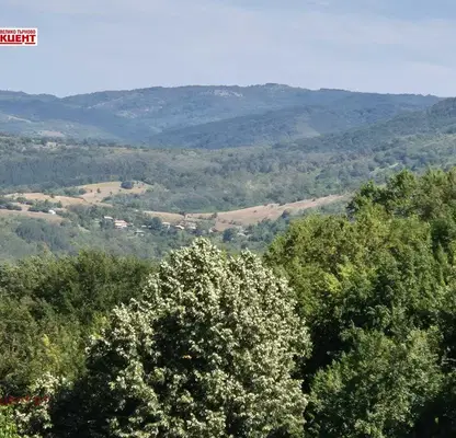 Photo 3 — Three-storey house with yard in Mishemorkov Khan village, Veliko Tarnovo region