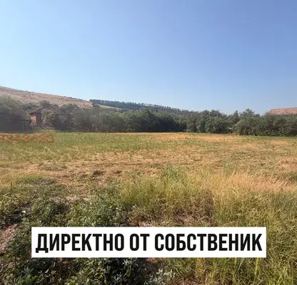 Снимка 5 — Къща с 3 стаи и голям двор в с. Ореховица, област Плевен