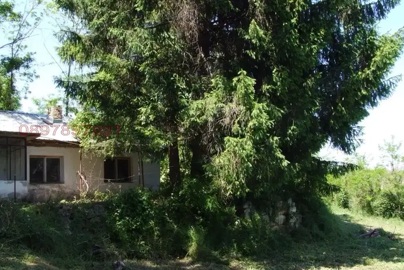 Къща в Русе, с. Писанец