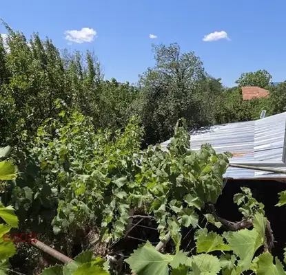 Снимка 2 — Къща в Пловдив, с. Столетово