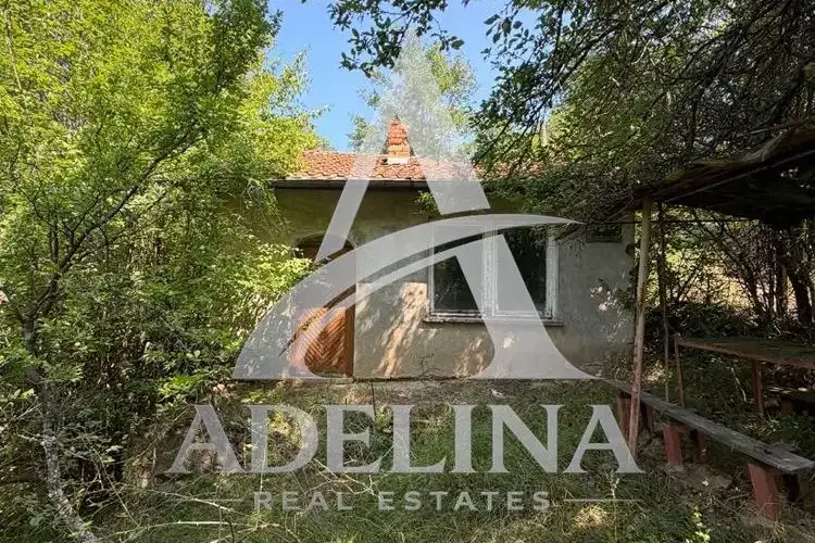 House in област София, Tompsyn