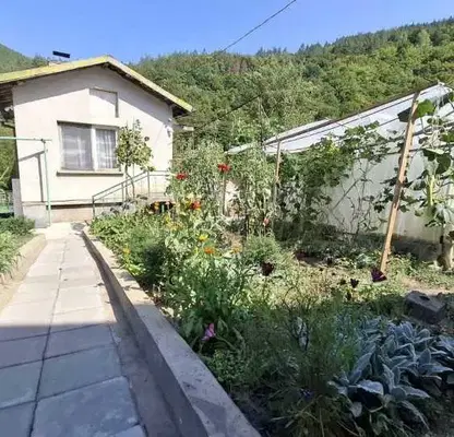 Photo 3 — House in Sofia, Tompsyn
