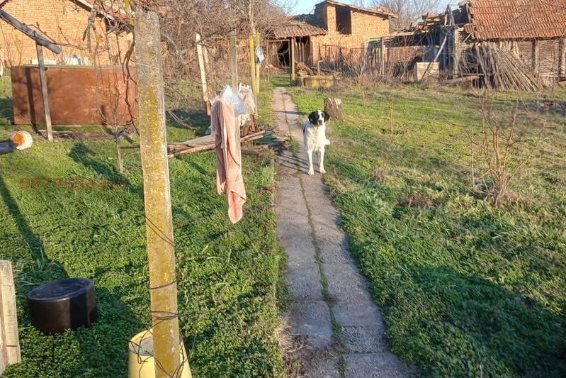 Къща в Плевен, с. Тотлебен
