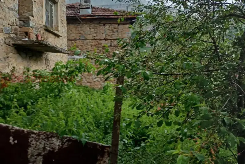House in Smolyan, s. Vievo