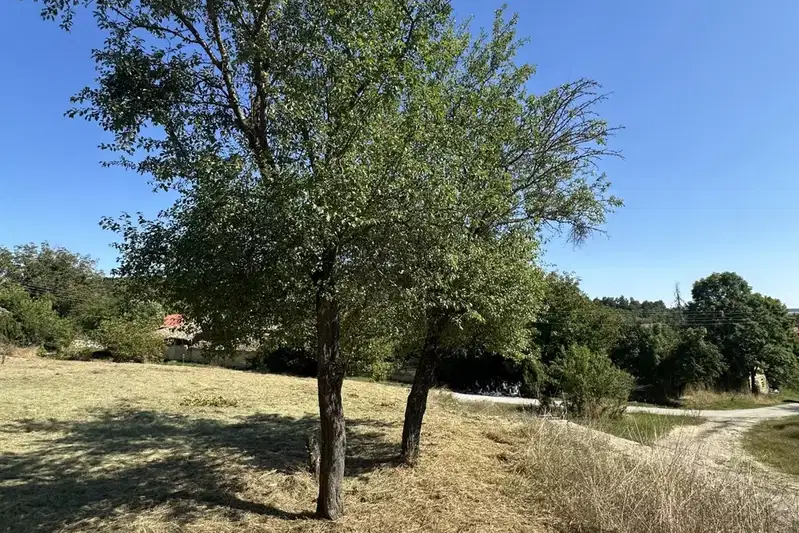 Парцел с къща и лице на две улици в с. Заветно, обл. Търговище