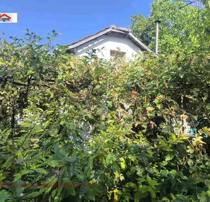 Photo 5 — House in Pleven, Trystenik