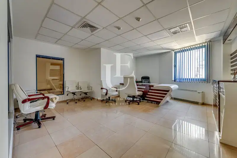 Office in Sofiya, Centyr