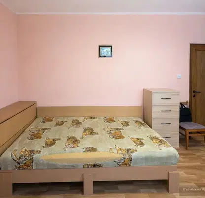 Снимка 4 — Стая в Пловдив, Център