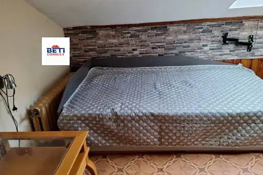Стая в София, Дървеница