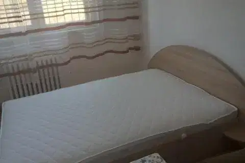 Стая в София, Оборище