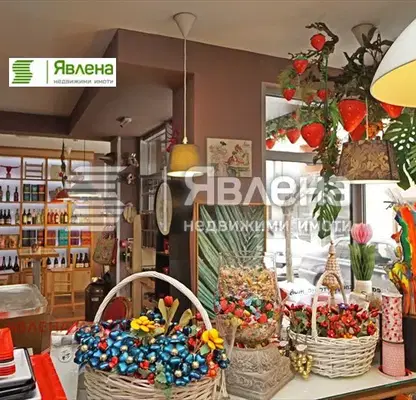 Photo 3 — Venue in Sofia, Vitosha