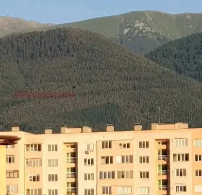 Photo 2 — 1-bedroom apartment in Kyustendil, Dupnica