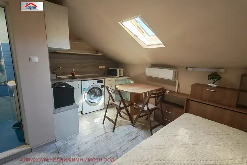 Studio in Pleven, Idealen Centyr