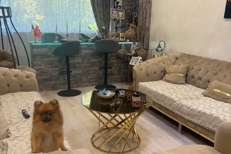 2-bedroom apartment in Pleven, Shirok Centyr