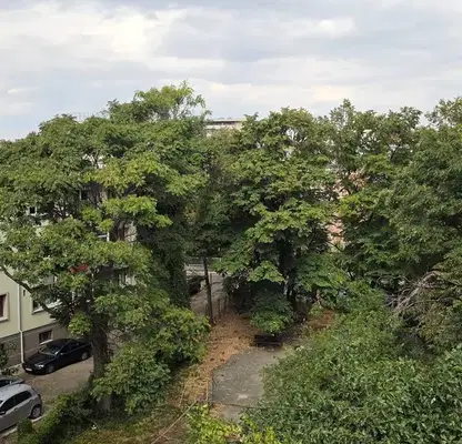 Photo 5 — Three-room apartment with two terraces in Center, Plovdiv