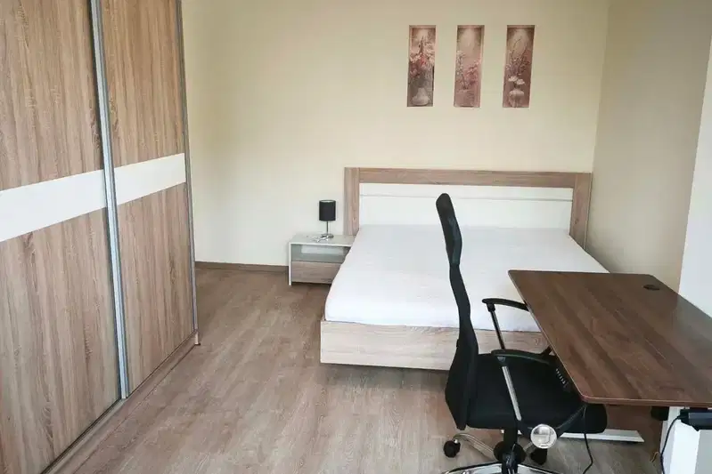 1-bedroom apartment in Sofia, Borovo
